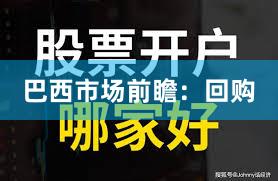 巴西市场前瞻：回购